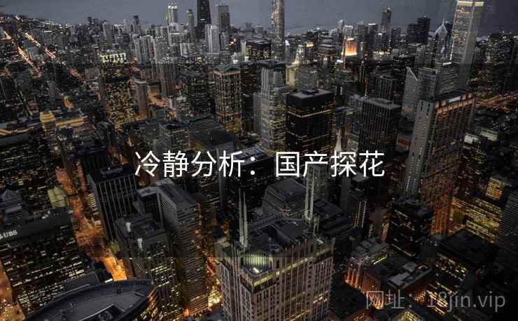 冷静分析:国产探花  第2张 冷静分析:国产探花  第2张