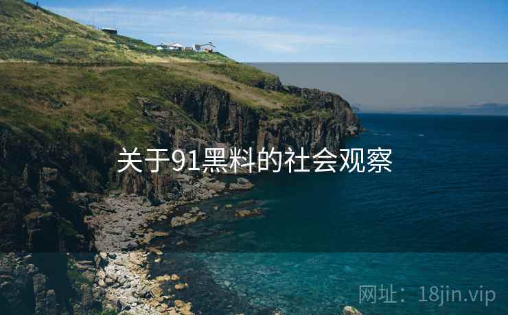 关于91黑料的社会观察  第1张 关于91黑料的社会观察  第1张