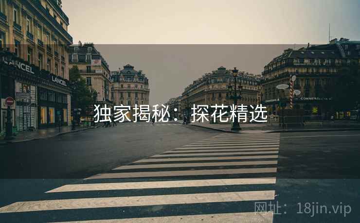 独家揭秘：探花精选