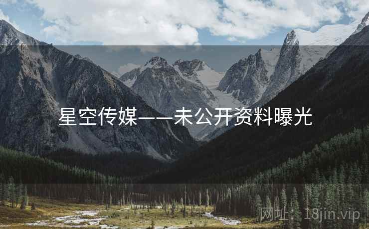 星空传媒——未公开资料曝光  第2张 星空传媒——未公开资料曝光  第2张