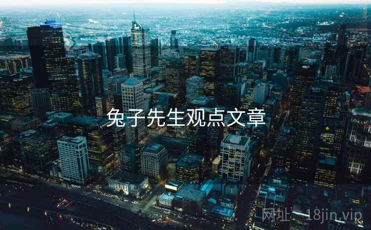 兔子先生观点文章  第2张 兔子先生观点文章  第2张