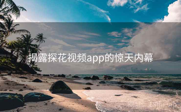 揭露探花视频app的惊天内幕  第1张 揭露探花视频app的惊天内幕  第1张