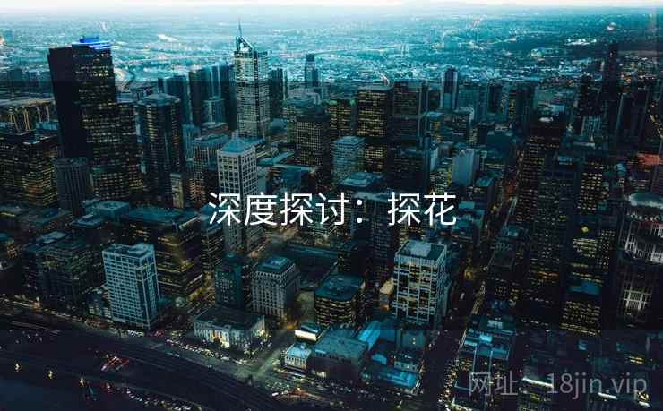 深度探讨：探花