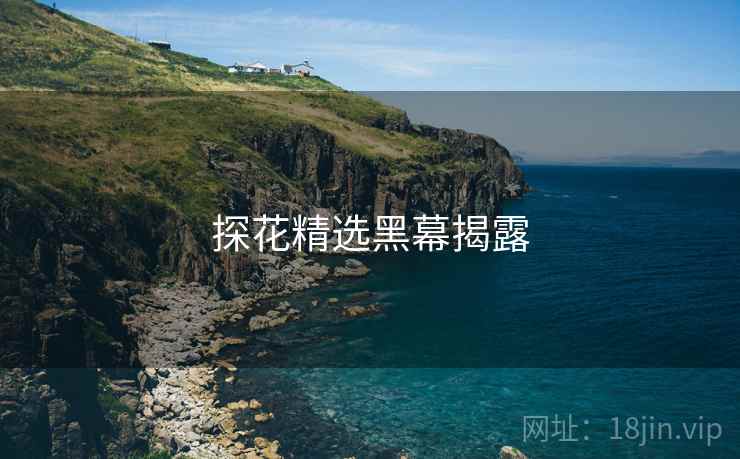 探花精选黑幕揭露