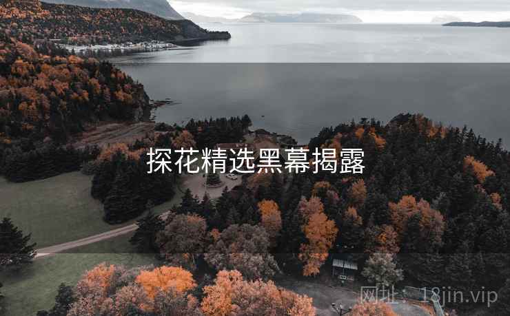 探花精选黑幕揭露