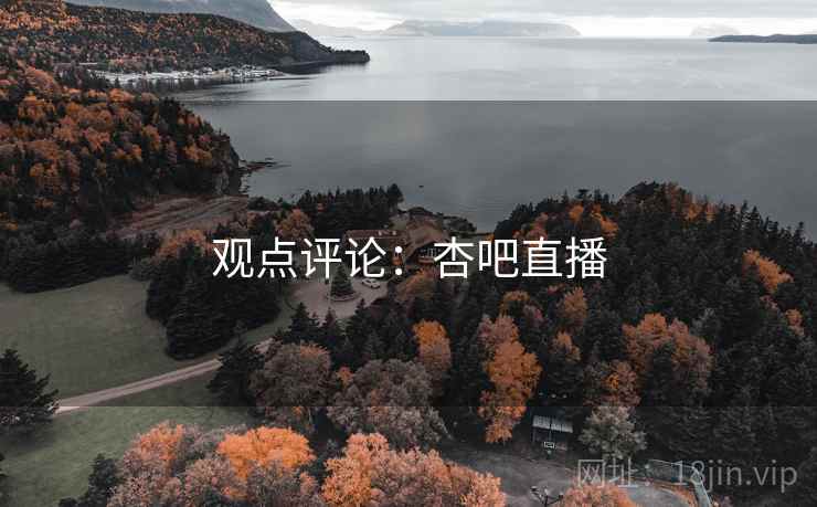 观点评论:杏吧直播