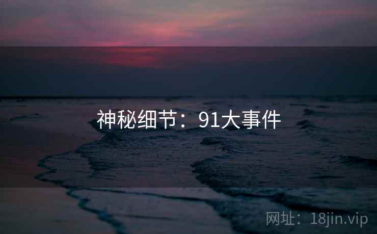 神秘细节:91大事件