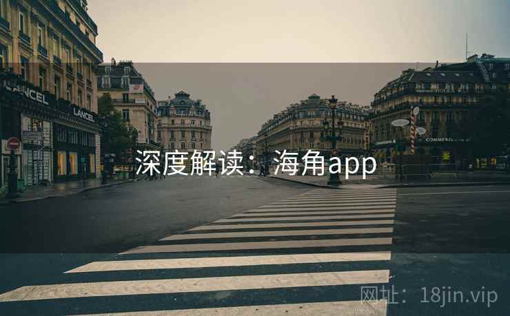 深度解读:海角app