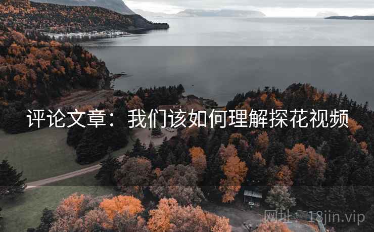 评论文章:我们该如何理解探花视频