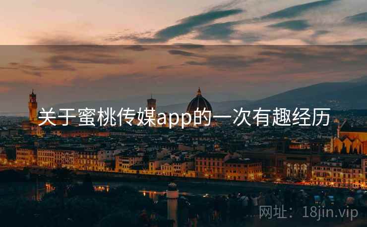 关于蜜桃传媒app的一次有趣经历
