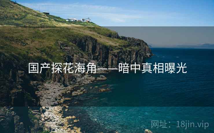 国产探花海角——暗中真相曝光