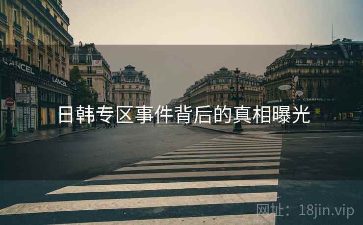 日韩专区事件背后的真相曝光