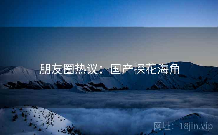 朋友圈热议:国产探花海角