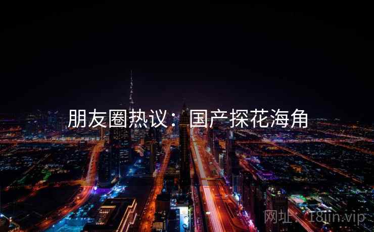 朋友圈热议:国产探花海角