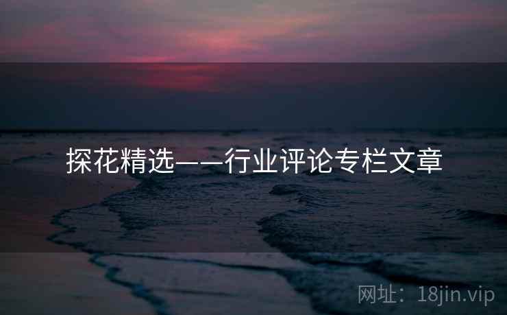探花精选——行业评论专栏文章