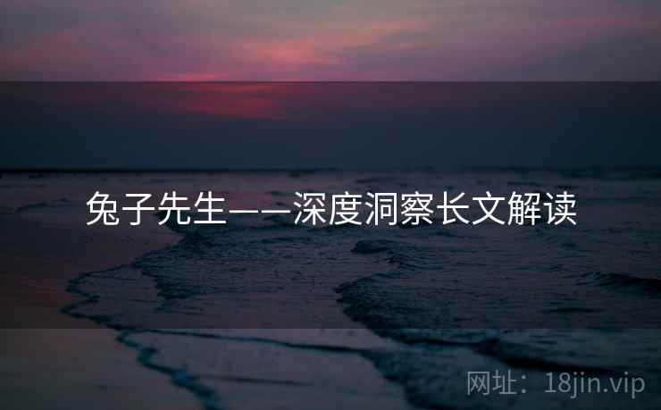 兔子先生——深度洞察长文解读  第1张 兔子先生——深度洞察长文解读  第1张