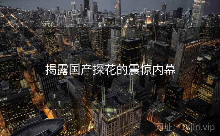 揭露国产探花的震惊内幕