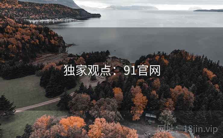 独家观点:91官网