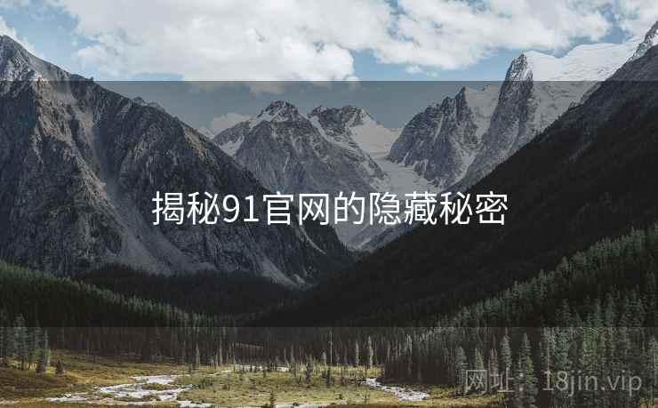 揭秘91官网的隐藏秘密