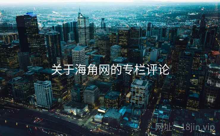 关于海角网的专栏评论
