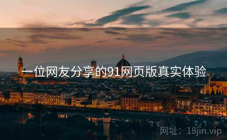 一位网友分享的91网页版真实体验