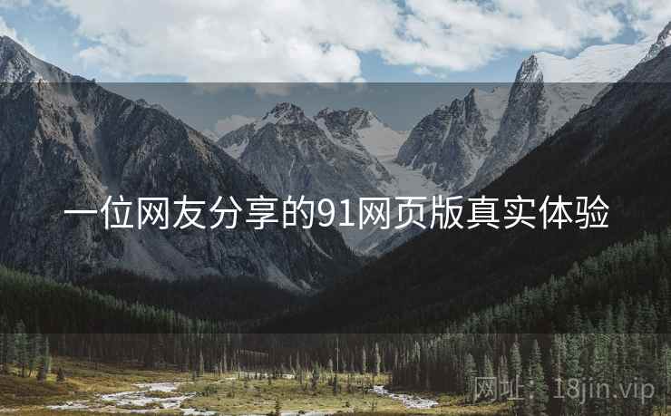 一位网友分享的91网页版真实体验