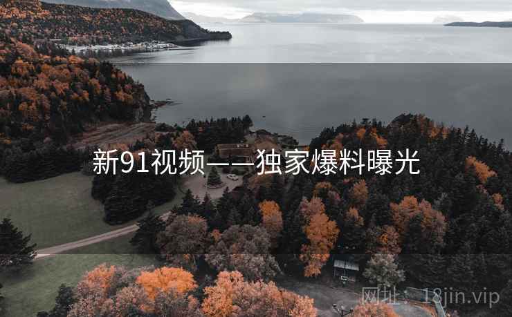 新91视频——独家爆料曝光