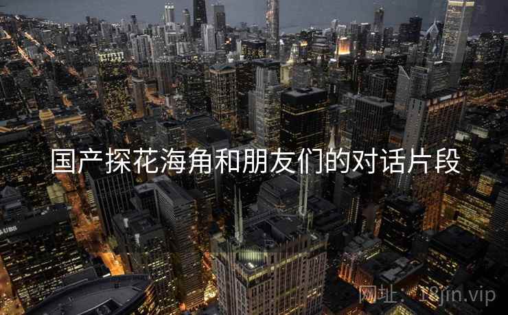 国产探花海角和朋友们的对话片段