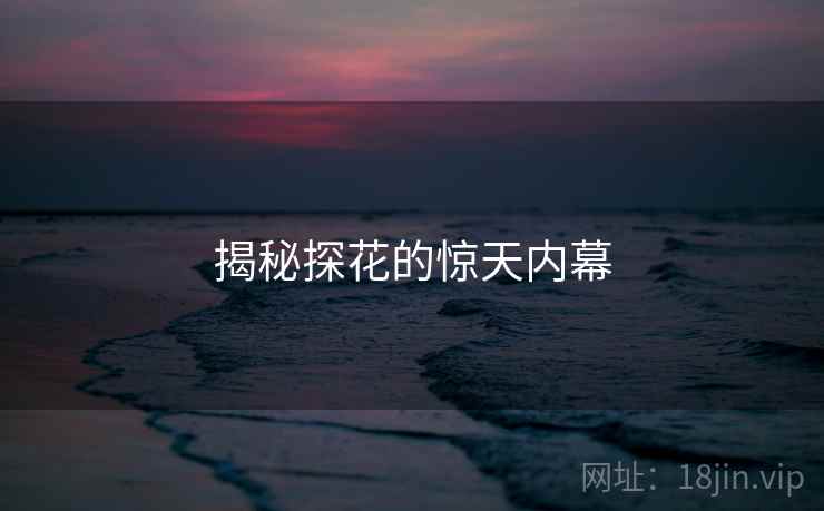 揭秘探花的惊天内幕