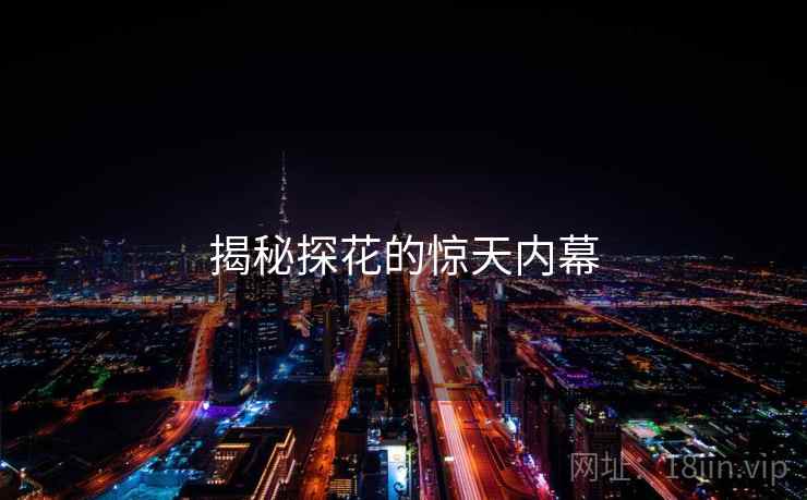 揭秘探花的惊天内幕