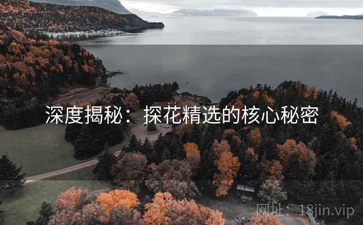 深度揭秘:探花精选的核心秘密