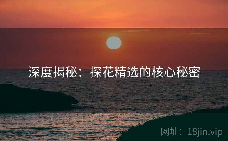 深度揭秘:探花精选的核心秘密
