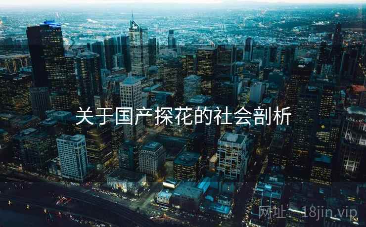 关于国产探花的社会剖析