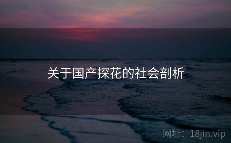关于国产探花的社会剖析