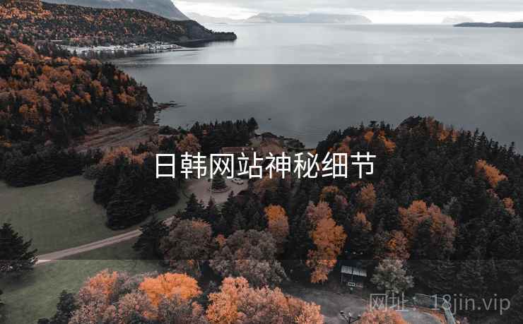 日韩网站神秘细节