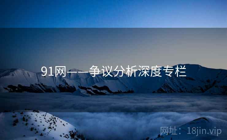 91网——争议分析深度专栏