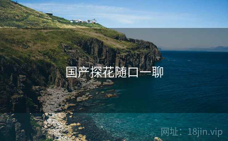 国产探花随口一聊