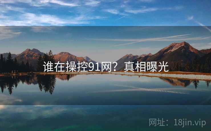 谁在操控91网?真相曝光