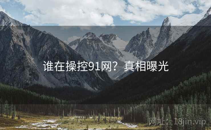 谁在操控91网?真相曝光