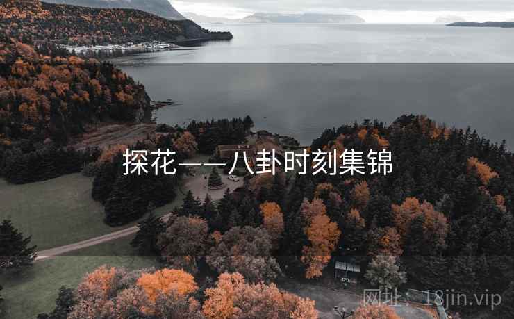探花——八卦时刻集锦
